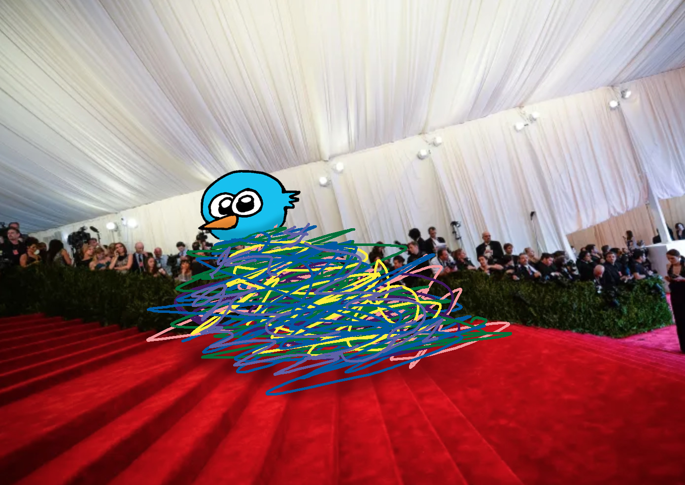 birdy
